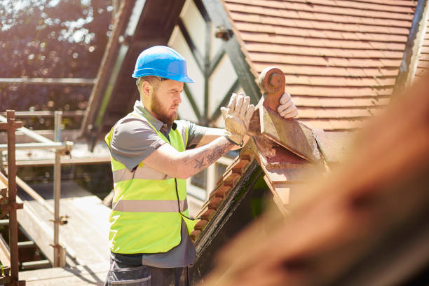 Best Roof Gutter Cleaning  in Lyons, KS
